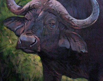 Last Warning - Cape Buffalo