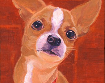 Quick Brown Chihuahua