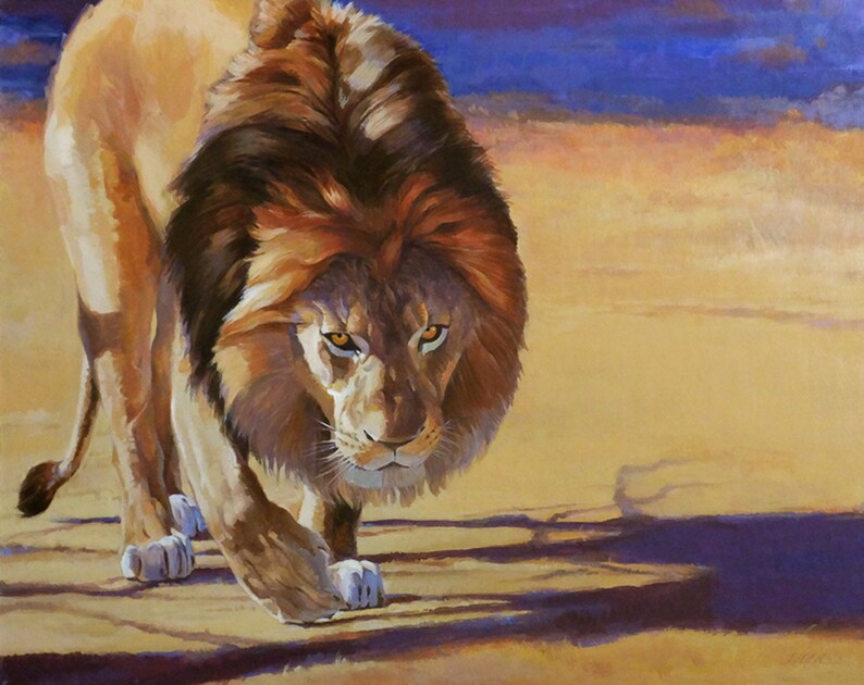 African Lion Don/'t Look Away