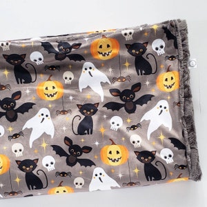 Halloween Baby Blanket, Spider Baby Blanket, Minky Baby Blanket, Faux Fur Baby Blanket, Halloween Blanket, Bats, Pumpkin, Bats, Ghosts, Cat