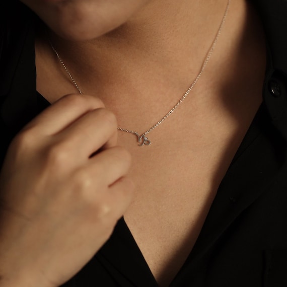Capricorn Zodiac Sign Diamond Necklace Capricorn Necklace