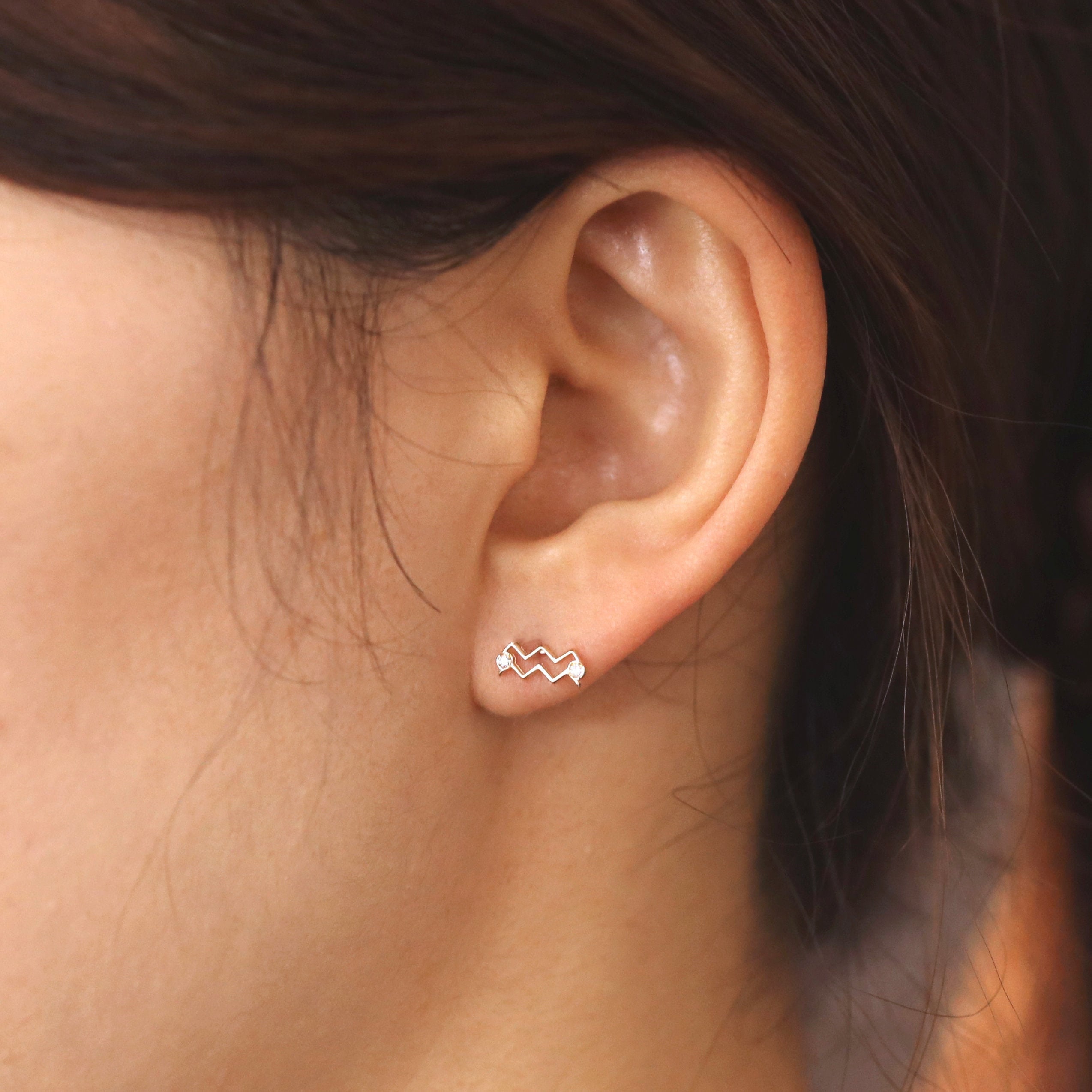 Zodiac Sign Aquarius Earrings - Etsy