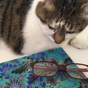 May include: A cat with brown and white fur is looking down at a pair of maroon eyeglasses resting on a blue, teal, and gold patterned case. The case has a peacock feather design.