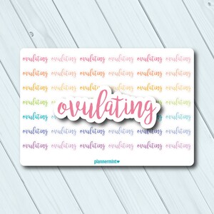 Ovulating Planner Pegatinas - Fertilidad - Embarazo - FIV - Pegatinas contorno de palabras - Erin Condren Life Planner - Happy Planner - Script