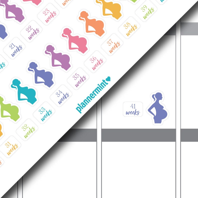Pregnancy Planner Stickers - Pregnancy Tracker - 3 to 41 Weeks ...