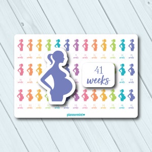 Planificateur de grossesse autocollants - suivi de grossesse - 3 à 41 semaines - jalons de la grossesse - Erin Condren - Happy Planner - TN - agenda personnel