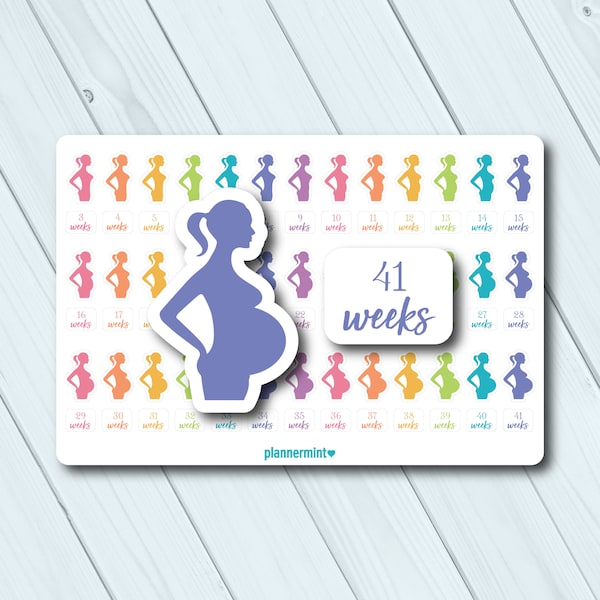 Pregnancy Planner Stickers - Pregnancy Tracker - 3 to 41 Weeks - Pregnancy Milestones - Erin Condren - Happy Planner - TN - Personal Planner