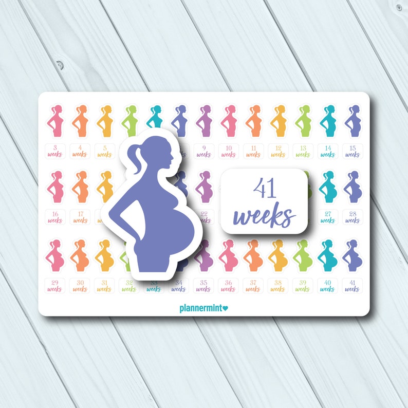 Pregnancy Planner Stickers Pregnancy Tracker 3 to 41 Weeks Etsy
