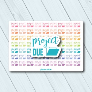Project Due Planner Stickers - Script Word Stickers - Erin Condren Life Planner - Happy Planner - Mambi - School - Homework - Assignment