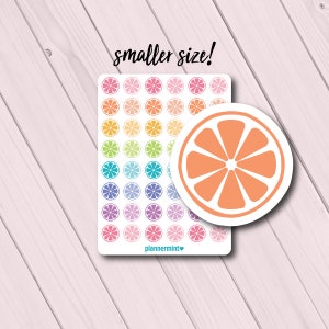 Mini Citrus Fruit Planner Stickers - Erin Condren - Happy Planner - Functional Icon Deco - Clean Eating - Healthy Diet - Weight Loss