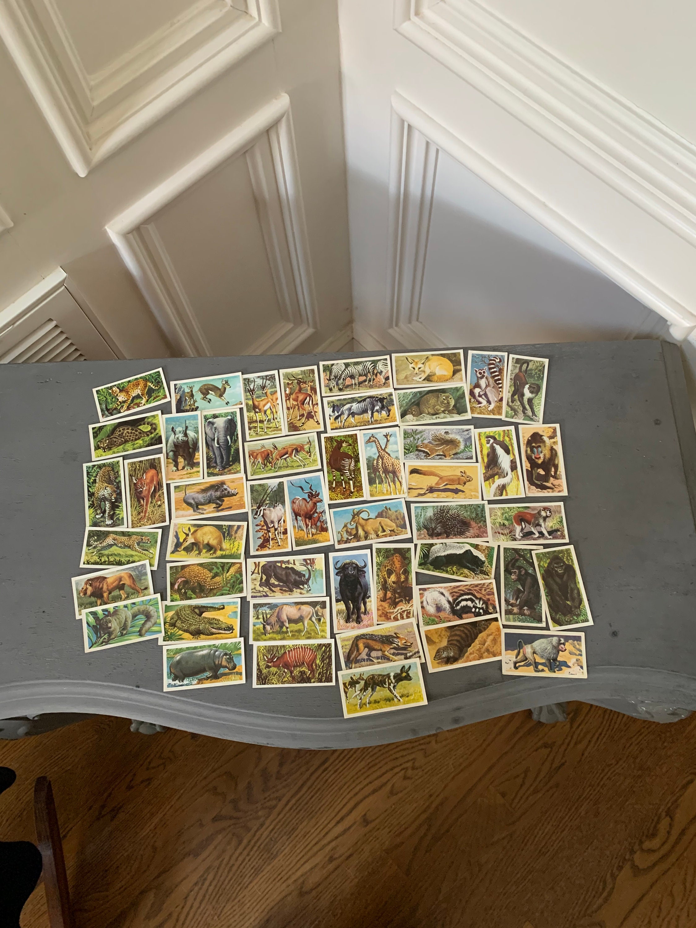 Brooke Bond Tea Cards - Etsy