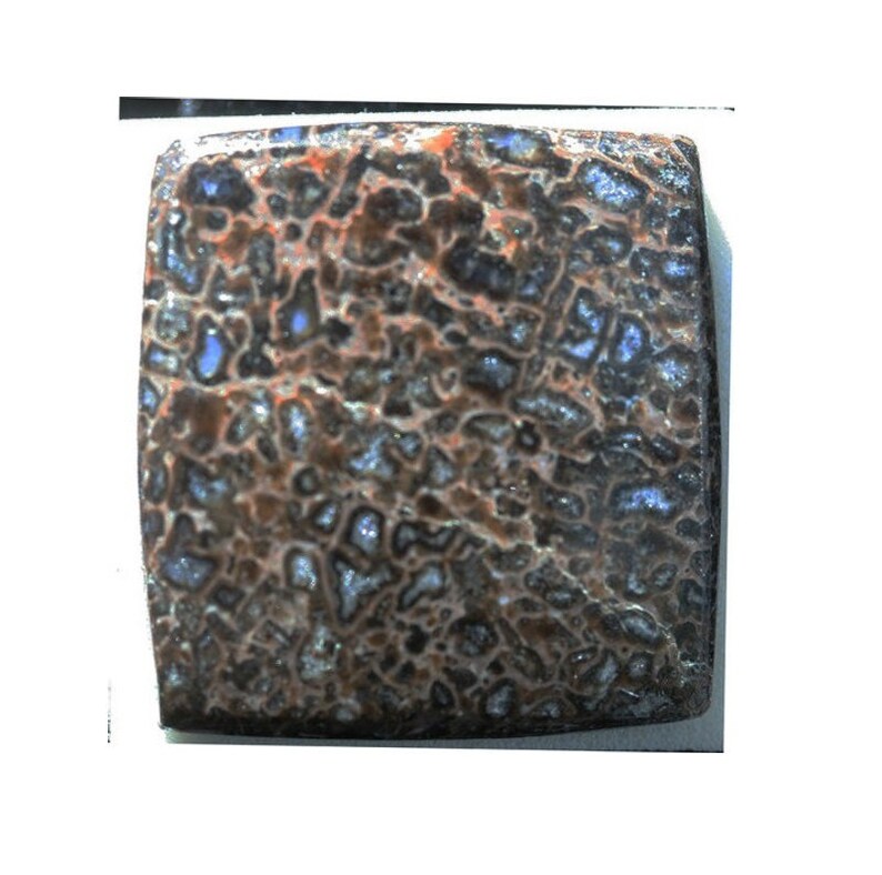 25.50cts Dinosaur Bone g6694 Cushion Shape Brown Gem Cab 24 x 22mm Cabochon Gemstone Rare Jewelry Making