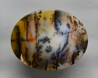Könnte beinhalten: Ein weißer, grauer und brauner Achat-Cabochon mit dendritischen Mustern. Der Stein hat eine glatte, polierte Oberfläche und ist oval geformt.