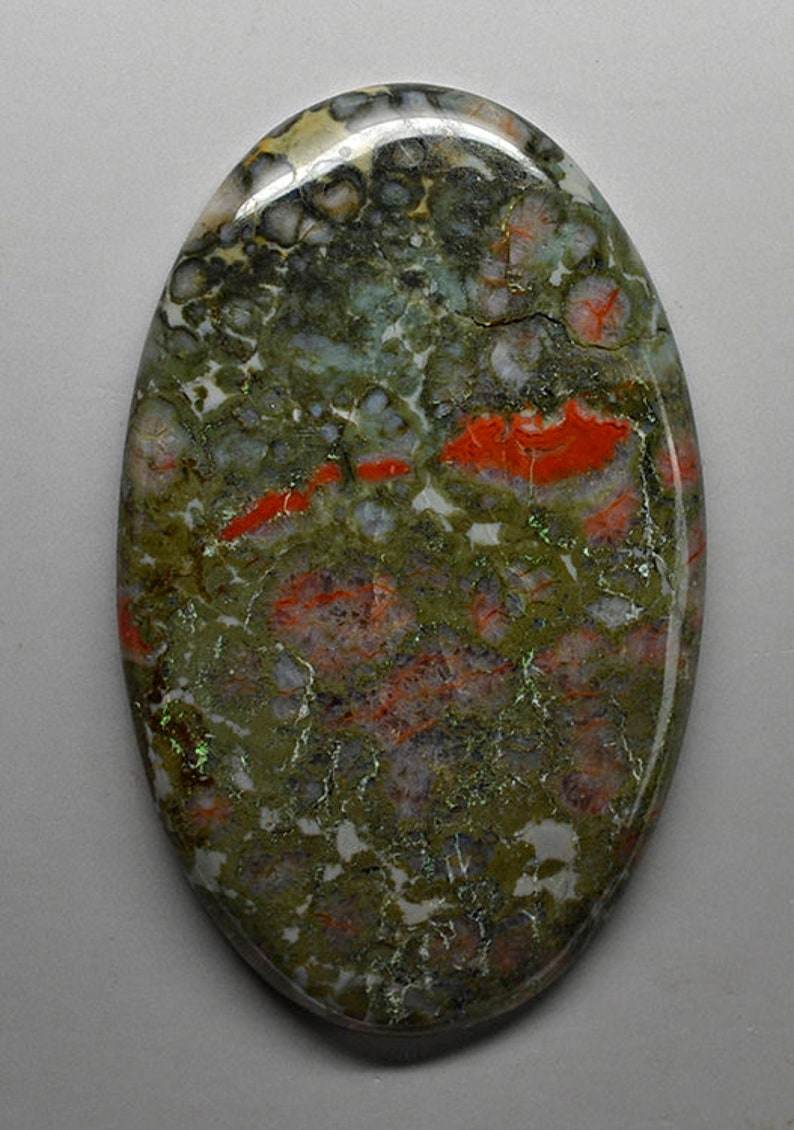 USA Loose Gemstone Cab Giant Dinosaur coprolite 152.47 cts oval cabochon 65.50 x 41.500mm y30091 Utah