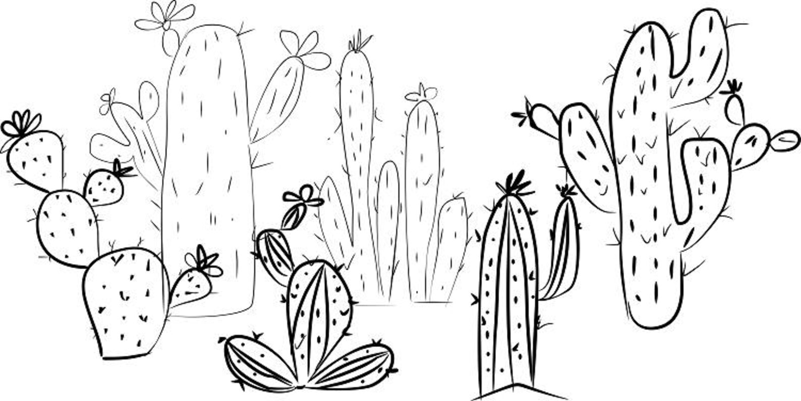 Cactus Printable Black White Clip Art Hand Drawn Cactus - Etsy