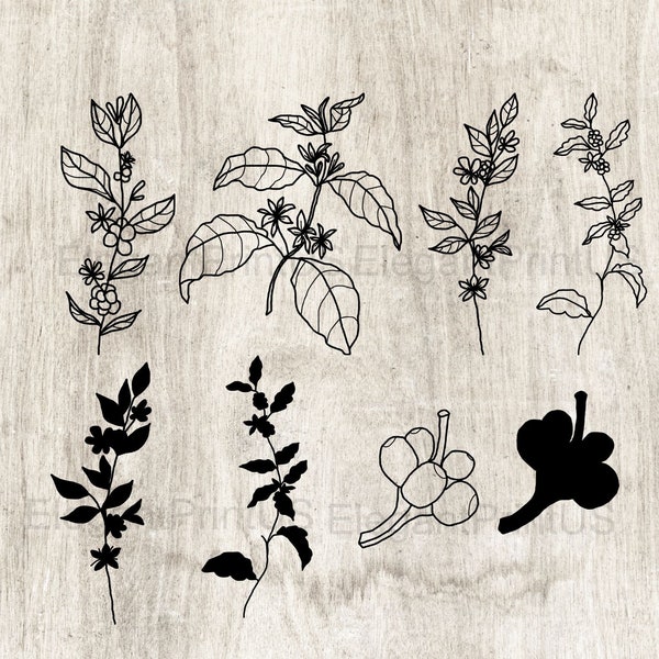 Coffee Plants Set Outline Coffee Plant Silhouette Coffee Print PNG SVG