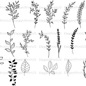 Lascia SVG Nero Decorativo Rami Clip Art Minimalista Ramo Botanico e Lascia Contorno SVG PNG