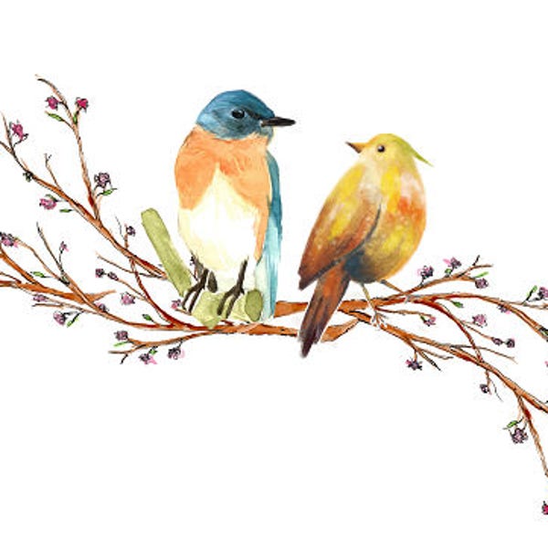 Love Birds Watercolor Clipart Tree Branch Blossom Flowers Birds