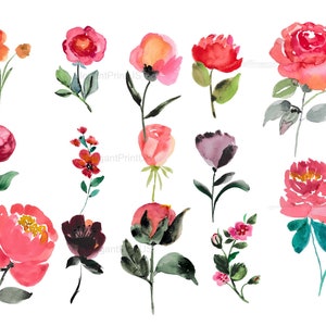 Watercolor Peony Loose Flowers Clip Art Pink Purple Yellow Floral Clipart Wall Art Print