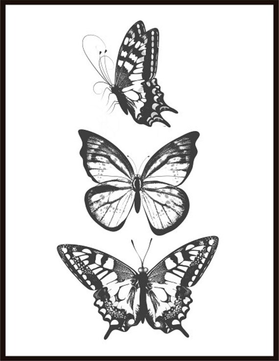 Butterflies Print Black White Print Butterfly Poster Wall Art Etsy