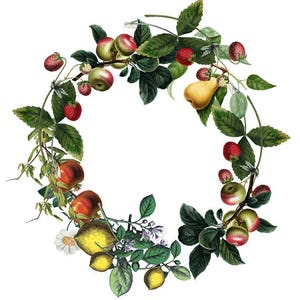 Obst Kranz Vintage botanische Clipart Obst Clipart Apfel Birne Erdbeere Zitrone digitale Clipart