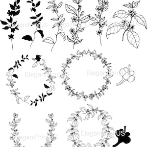 Juego de café Esquema Planta de café Corona Conjunto Silueta Café PNG SVG Archivos de corte