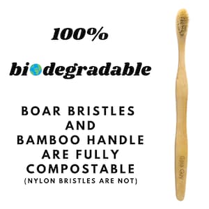 May include: A bamboo toothbrush with boar bristles. The text on the toothbrush reads "Gaia Guy". The text on the image reads "100% biodegradable Boar Bristles and Bamboo Handle are fully compostable (Nylon bristles are not)"