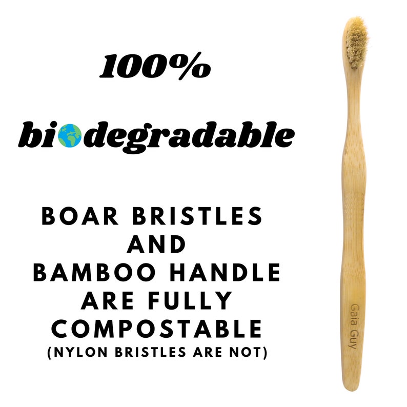 May include: A bamboo toothbrush with boar bristles. The text on the toothbrush reads "Gaia Guy". The text on the image reads "100% biodegradable Boar Bristles and Bamboo Handle are fully compostable (Nylon bristles are not)"