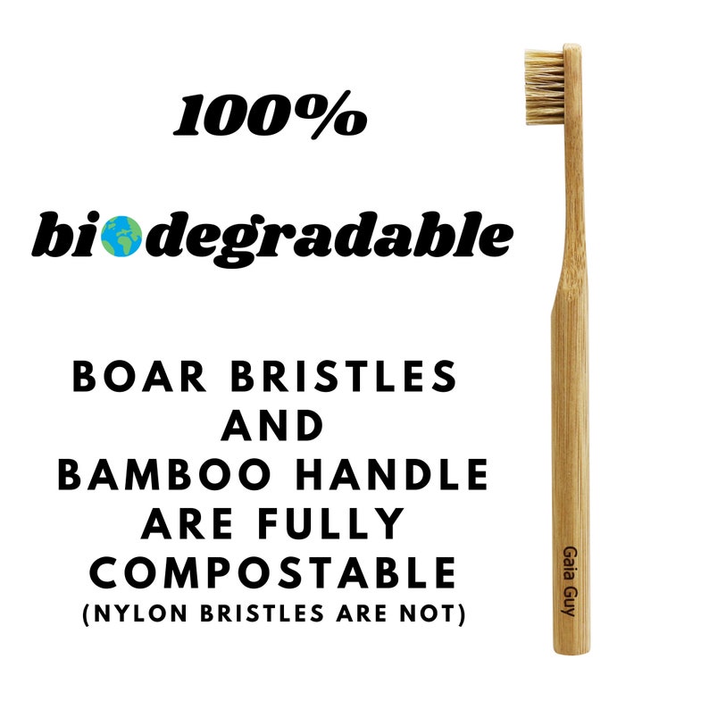 Natural Bristle Bamboo Toothbrush Totally Biodegradable and Planet-Based 6-Pack image 2
