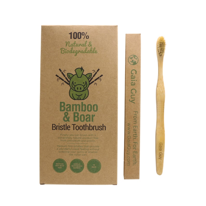May include: A brown cardboard box with a cartoon boar and the text "100% Natural & Biodegradable Bamboo & Boar Bristle Toothbrush". A smaller brown cardboard box with the text "Gaia Guy From Earth. For Earth. www.GaiaGuy.com". A brown bamboo toothbrush with boar bristles.