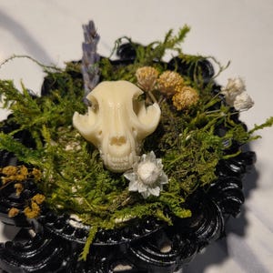 May include: A decorative black frame holds a small animal skull, surrounded by green moss, dried flowers, and a sprig of lavender. The skull is off-white, and the frame has an ornate, gothic design. The arrangement is set against a neutral background.