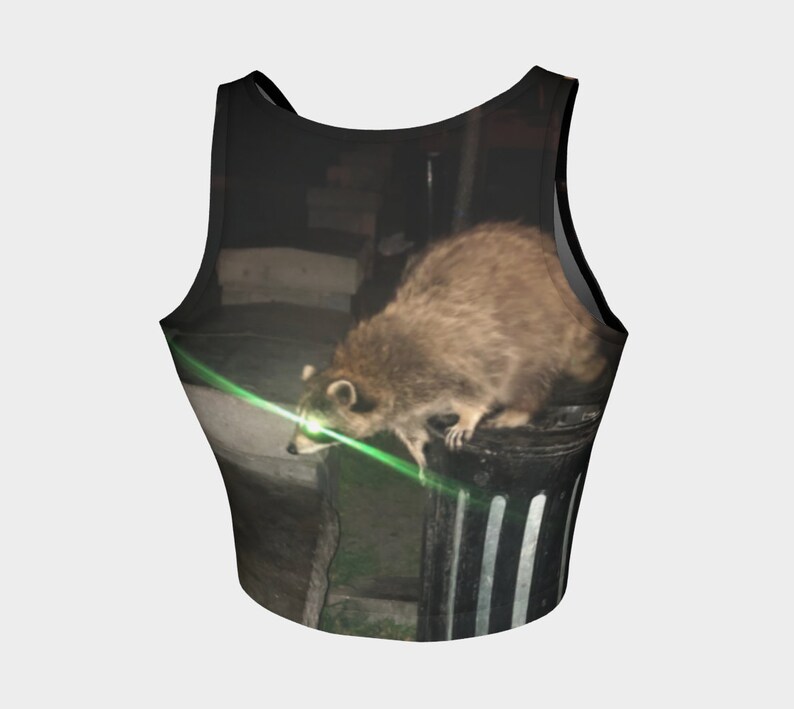 May include: A raccoon with green laser eyes is perched on a black trash can. The raccoon is looking down at the laser beam. The background is dark and blurry.