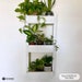 Wall Planter *FREE SHIPPING* - Plant Pots Now Available - Hanging Planter | Shelf Planter | Hanging Shelves | Wall Outdoor or Indoor Planter 