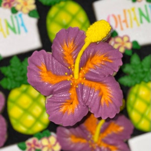 Hibiskus Blume 5 Größen Ausstechform STL-Datei & PNG Clipart, Print at Home, Zucker Kekse, Fondant, Ton, Backen, Hawaiian, Frühling, Luau