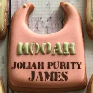 Pu&ograve; includere: Biscotto a forma di bavaglino per neonato rosa e verde con il nome "Josiah Purity James" scritto sopra.