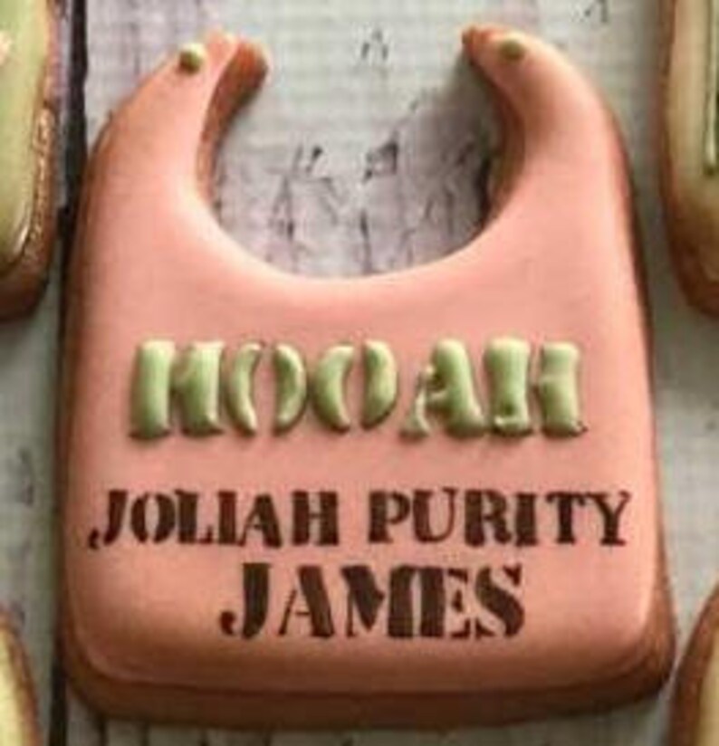 Pu&ograve; includere: Biscotto a forma di bavaglino per neonato rosa e verde con il nome "Josiah Purity James" scritto sopra.