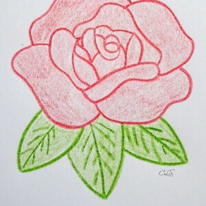 May include: A hand-drawn illustration of a pink rose with green leaves. The rose is drawn in a simple style with a single bloom and leaves.