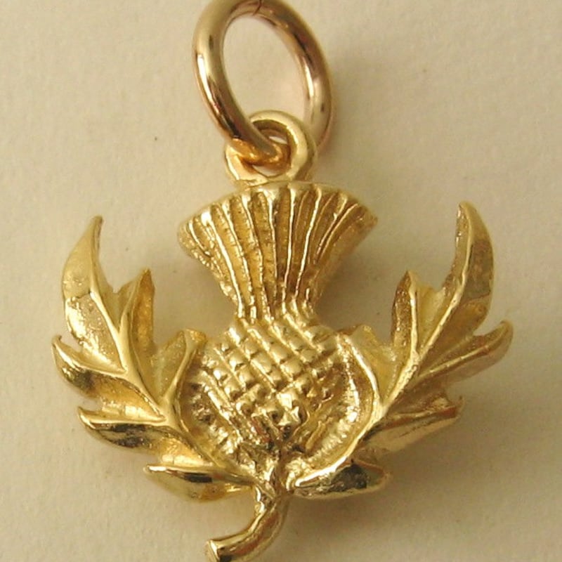 200 Scottish Thistle Charm