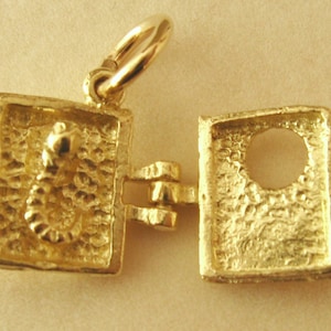 May include: Gold-toned charm in the shape of a small, hinged box with a snake inside. The box is open and the snake is visible. The charm has a loop for attaching to a necklace or bracelet.