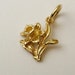 see more listings in the Gold Charms section