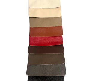 Leather Swatch Set Of Ten:  Upholstery Sample Swatches (6”x4”in.)