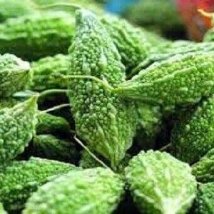 Bitter Gourd Indian Green Seeds Vegetable Garden Green Indian Bitter Melon Seeds