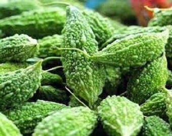 Pode incluir: Um close-up de um monte de melão amargo verde, também conhecido como abobrinha amarga, com uma superfície irregular e texturizada.