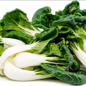 Baby Sweet Pak Choi Seeds Bak Choi Chinese Cabbage Vegetable Seed Dwarf Pak Choy Garden Vegetable