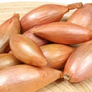 Shallot Small Bulb Onion Seeds Vegetable Seeds Ukrainian Heirloom Onion Seeds