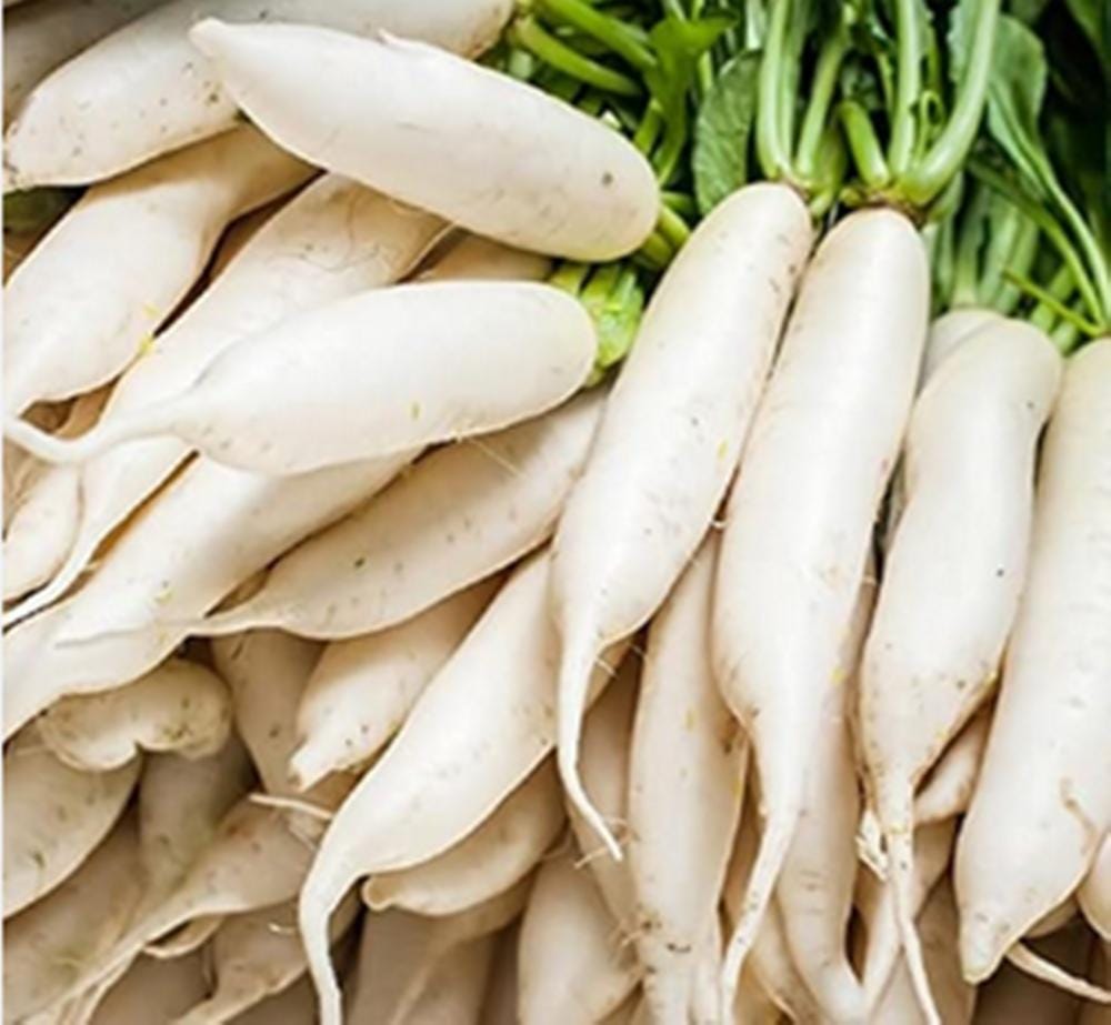 Korean radish - Etsy 日本