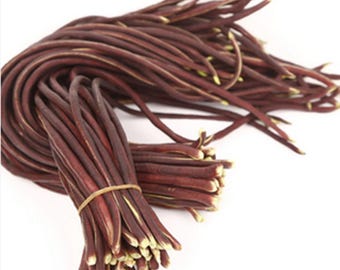 SEMILLAS DE FRIJOL SERPIENTE Semillas de frijol trepador asiático tradicional Frijoles largos Semillas de frijol trepador Frijoles largos vegetales Semillas de frijol serpiente rojo Frijoles
