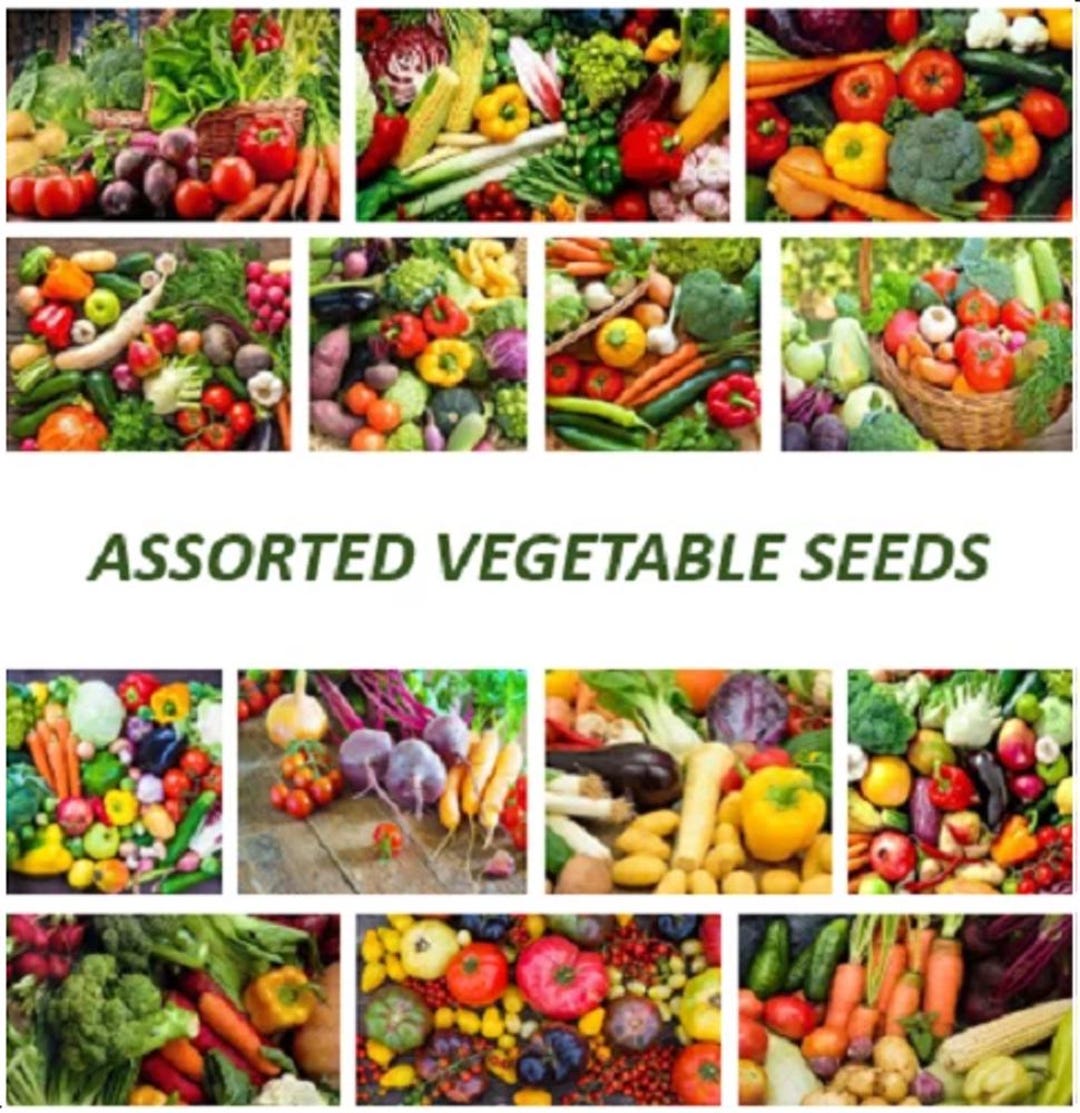 ASSORTED VEGETABLE SEEDS Garden Vegetables Assorted Seeds Mixed ...