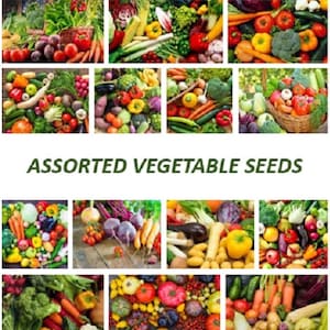ASSORTED VEGETABLE SEEDS Garden Vegetables Assorted Seeds Mixed Vegetable Seeds Home Garden Vegetables