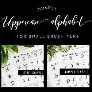 May include: Two sheets of paper with lined paper and a handwritten uppercase alphabet in two different styles. The styles are labeled "Lovely Elegance" and "Simply Classic". The sheets are on a wooden surface with green plants.